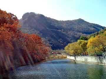 新澳天天开奖资料大全旅游团，上海吸血鬼事件图片